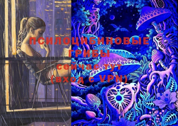мдпв Бугульма