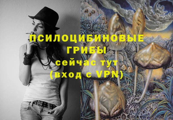 дмт Бронницы