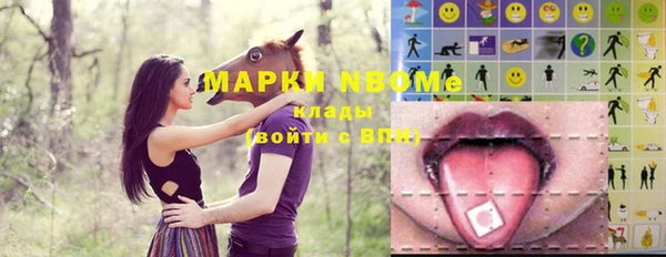 apvp Бородино