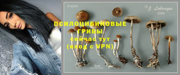 дмт Бронницы