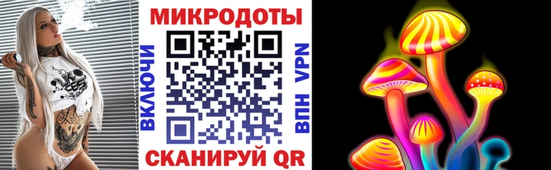 Псилоцибиновые грибы Psilocybine cubensis  Мезень 